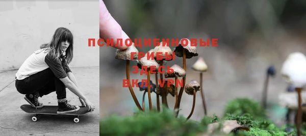 гашик Армянск