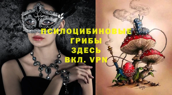 винт Арсеньев