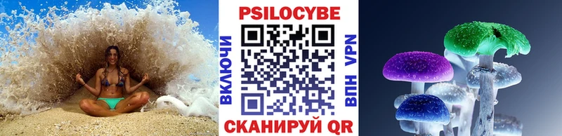 кракен ТОР  Междуреченск  Псилоцибиновые грибы Cubensis 